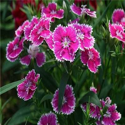 万博全站(ManBetX)app下载截图