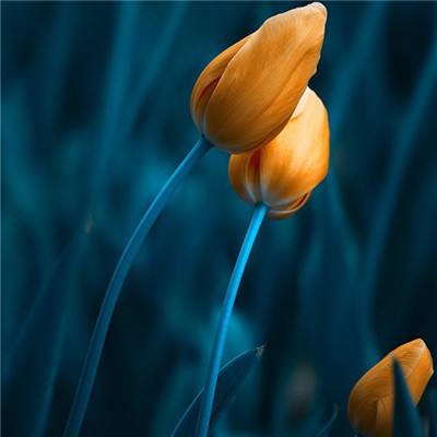 im电竞官网app下载截图